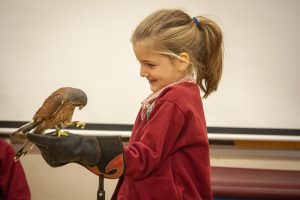 Purbrook Infant School Gallery 1